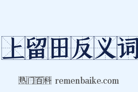 上留田反义词是什么意思的图片